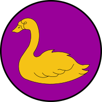 Golden Calon Swan